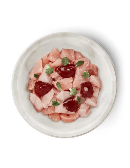 Terra Canis Felis Adulto Pavo