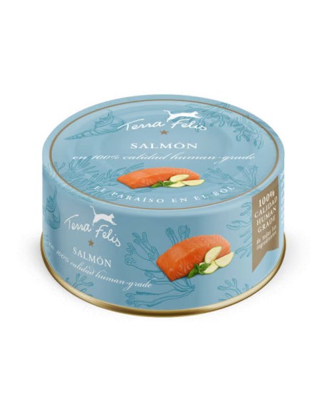 Terra Canis Felis Adulto Salmón