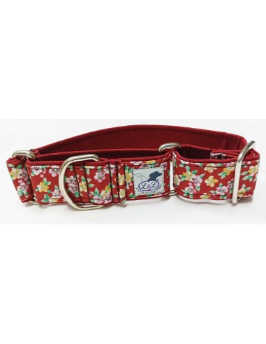 collar-Whippet-algodon
