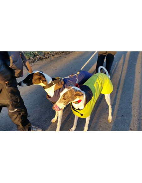 Abrigo especial para galgo de Lucas Y Lola