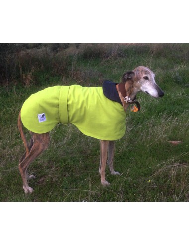 Abrigo para galgo reversible verde