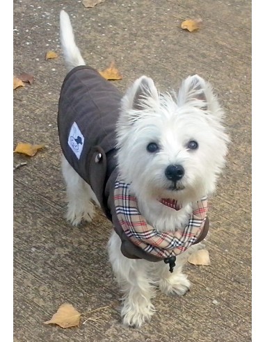 Abrigo para perros -  modelo Tortuga...