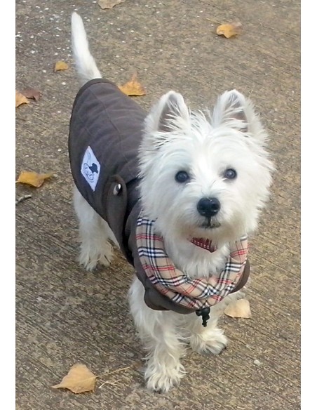 Abrigo para perros -  modelo Tortuga con cuello alto