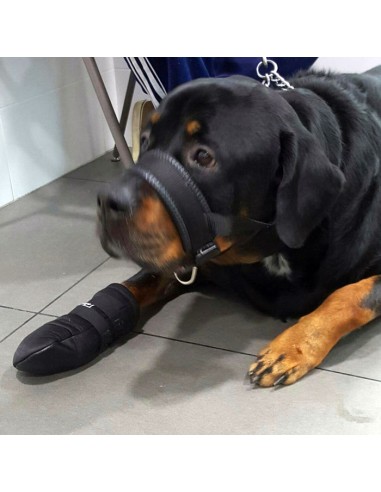 Accesorios para perros - bota de... Accesorios para perros - bota de...