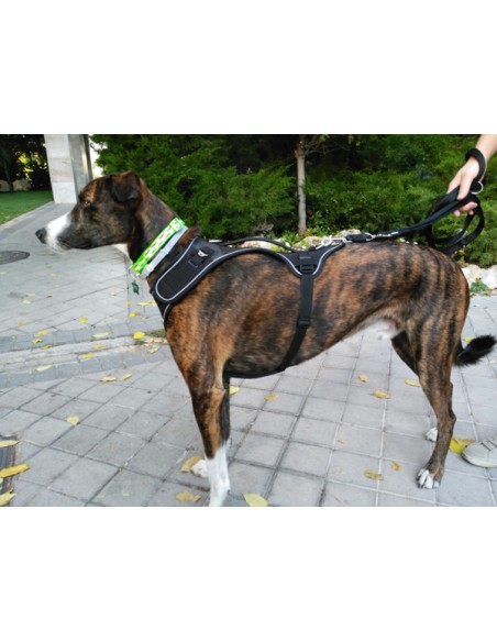 Arnés para galgo marca BELKA