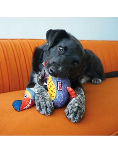 Juguete para perros, Kong Ballistic Vibez Birds