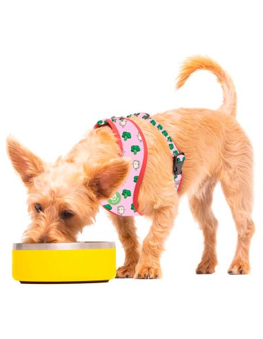 Comedero para perro Dukier Amarillo