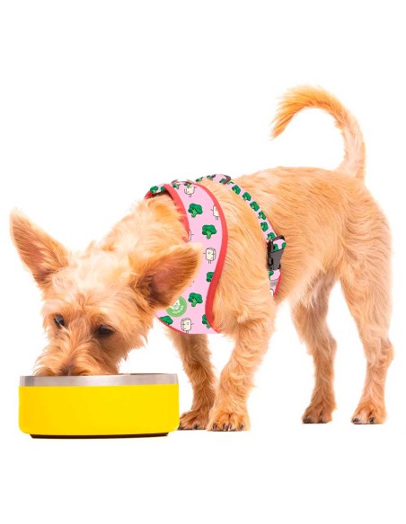 Comedero para perro Dukier Amarillo