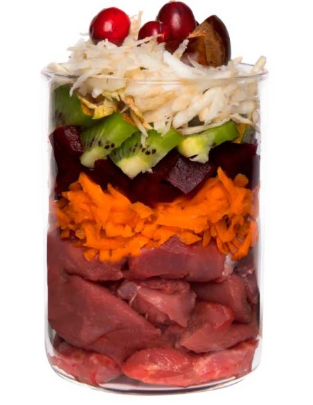 Terra Canis Grain Free Jabalí con remolacha, castaña y semillas de chía