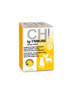 Ig-Ynmune 60 comprimidos, Chemical Iberica