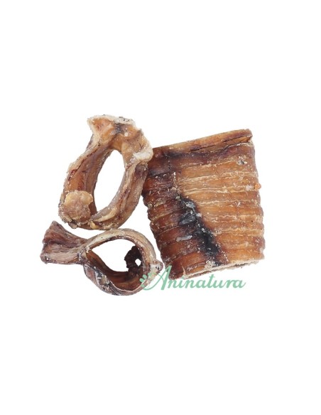 Snack para perro, Tráquea de vacuno