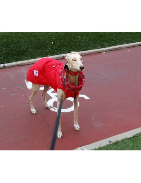 Correa para perro Piel Flor Correa para perro Piel Flor
