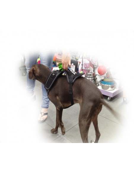 Arnés para galgo marca BELKA