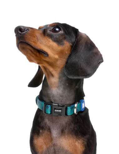Collares para perros DUKIER modelo Tartán