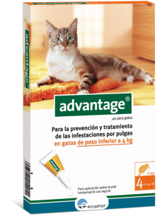Advantage 40 para gato inferior de 4 kg, Ecuphar