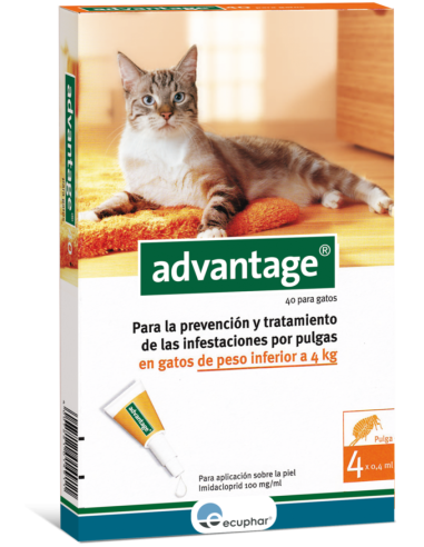 Advantage 40 para gato inferior de 4 kg, Ecuphar