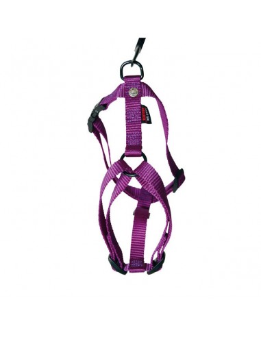 Arnes para perros de Nylon Regulable