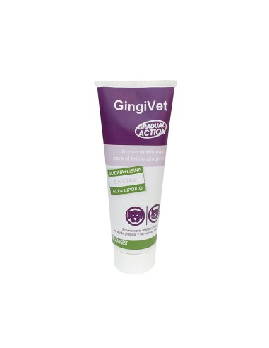 GingiVet pasta 100 gr, Stangest