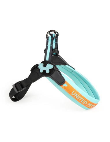 Arnés para perro Complete Me, United Pets