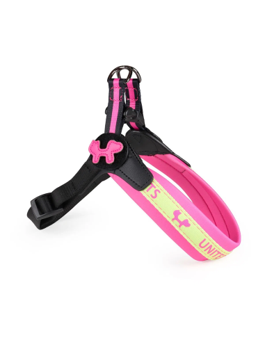 Arnés para perro Complete Me, United Pets