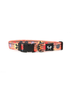 Collar para perro Complete Me, United Pets