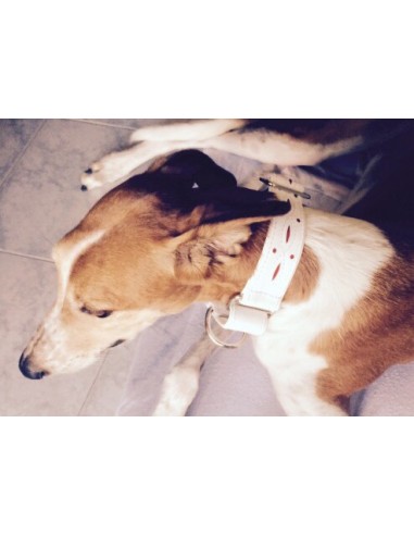 Collar para galgo en piel blanco calado extrasuave Collar para galgo en piel blanco calado extrasuave