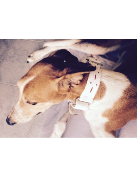 Collar para galgo en piel blanco calado extrasuave Collar para galgo en piel blanco calado extrasuave