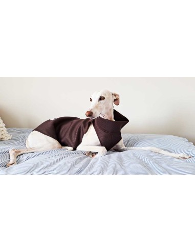 Peto-antimordiscos-galgo