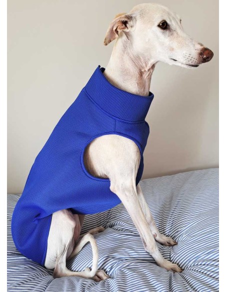 Peto-antimordiscos-galgo