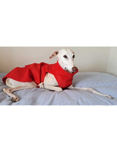 Peto-antimordiscos-galgo