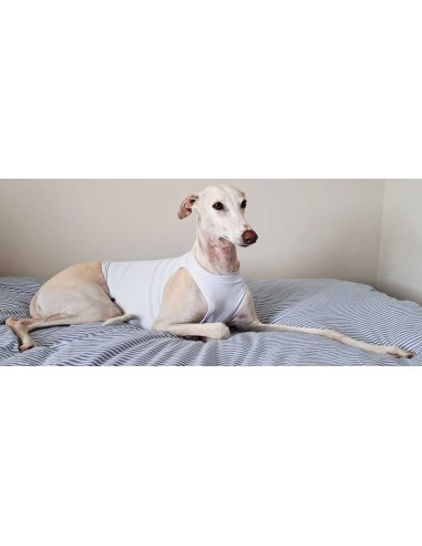 Peto para galgo color blanco