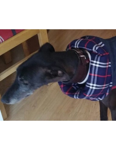 Collares galgos piel flor ancho marrón