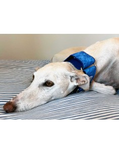 collar-galgo-algodon