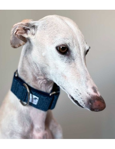 collar-galgo-algodon