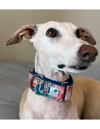 collar-galgo-algodon