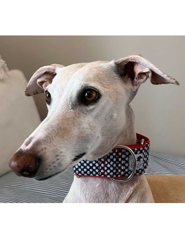 collar-galgo-algodon