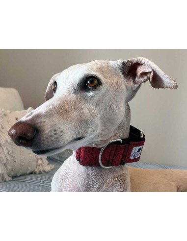collar-galgo-algodon