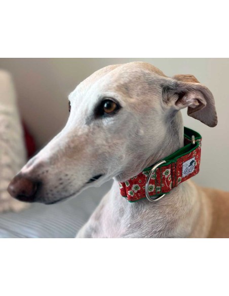 collar-galgo-algodon