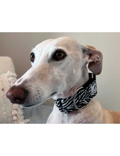 Collar galgo en tela loneta cebra