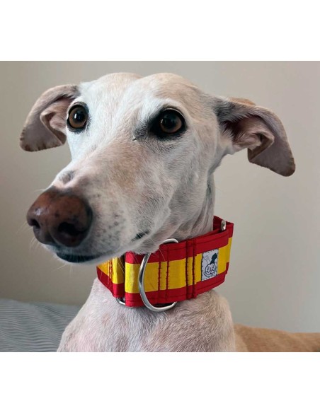 Collar galgo en tela loneta bandera de España