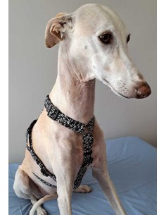 arnes-algodon-antiescape-galgo