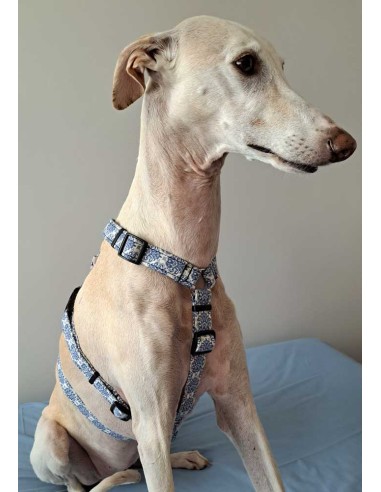 arnes-algodon-antiescape-galgo