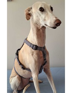arnes-algodon-antiescape-galgo