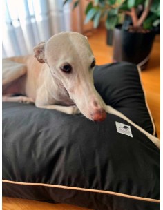 Cama especial para galgo