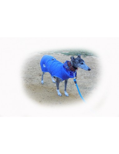 Correa para perro cordón tipo cuerda gruesa azul