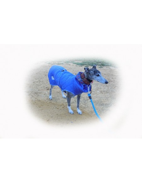 Correa para perro cordón tipo cuerda gruesa azul