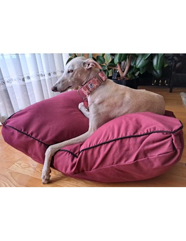 Cama especial para galgo