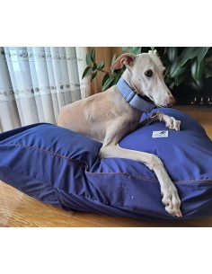 Cama especial para galgo