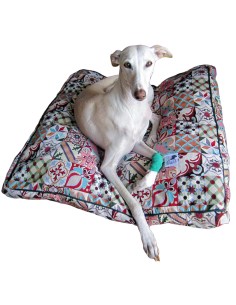 Cama especial para galgo
