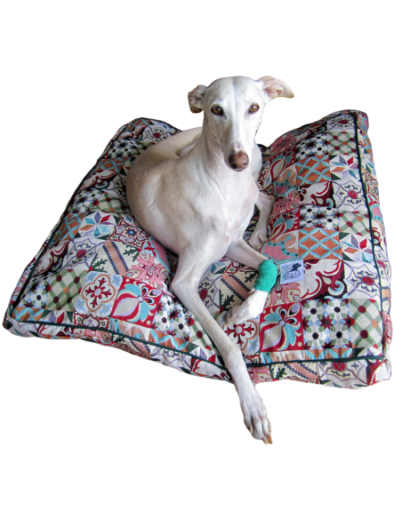 Cama especial para galgo